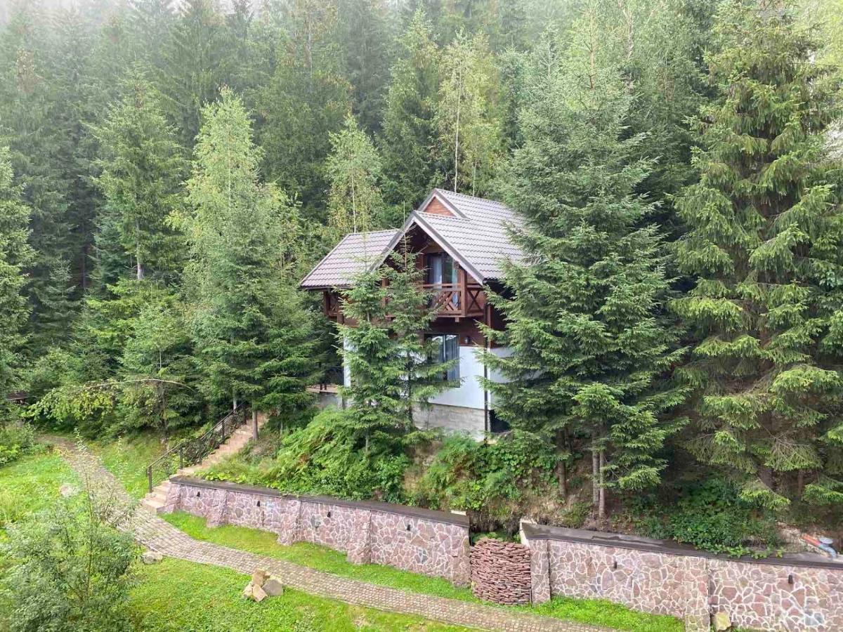 Karpatski Dzherela Yaremtche Extérieur photo