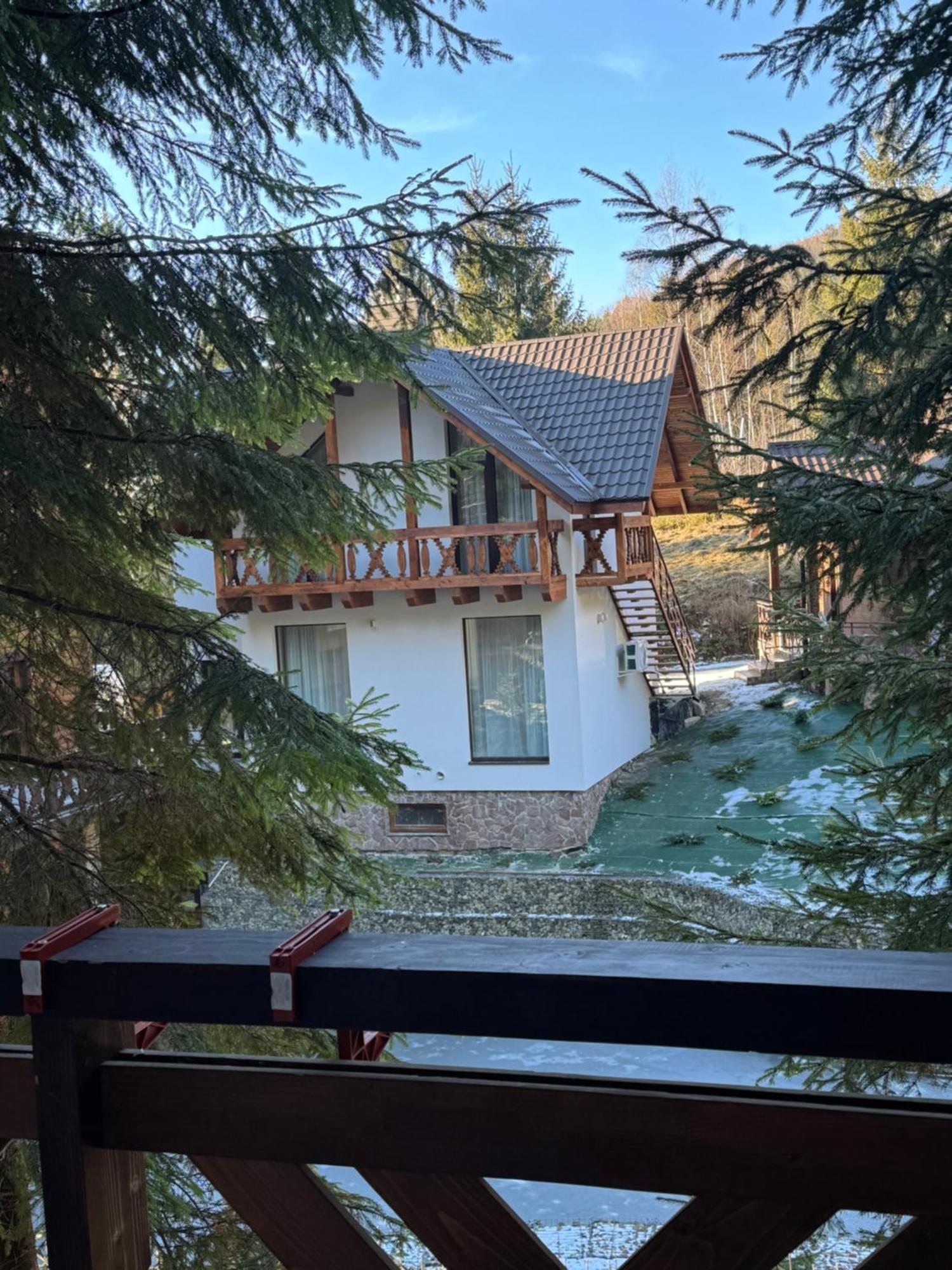 Karpatski Dzherela Yaremtche Extérieur photo